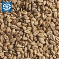 Мешок солод Пшеничный Светлый Soufflet 2-5 EBC (Суффле, Россия), 40кг