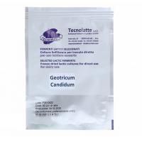 Плесень для сыров (Geotrichum Candidum) на 50 литров (Tecnolatte)